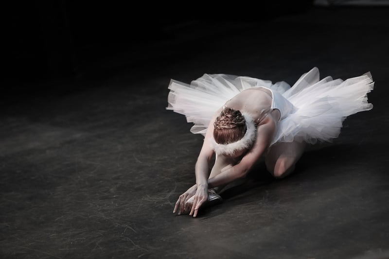 Ballet Performance